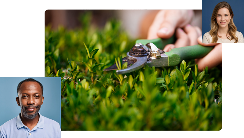 servicio-jardineria